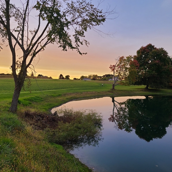 Meet your Posher, David - Picture 4 of 4